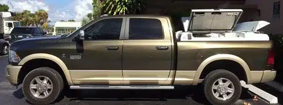 equine_services